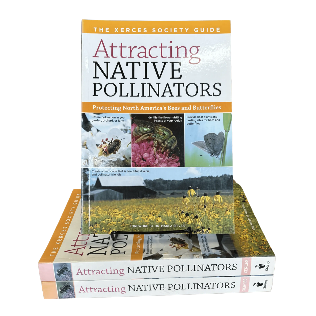 Attracting Native Pollinators