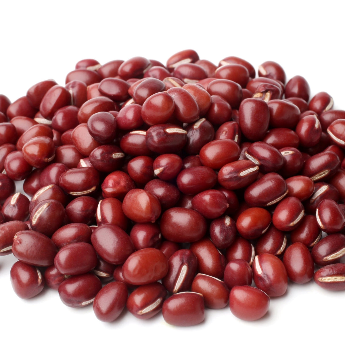 Adzuki Bean (bush) by MIgardener