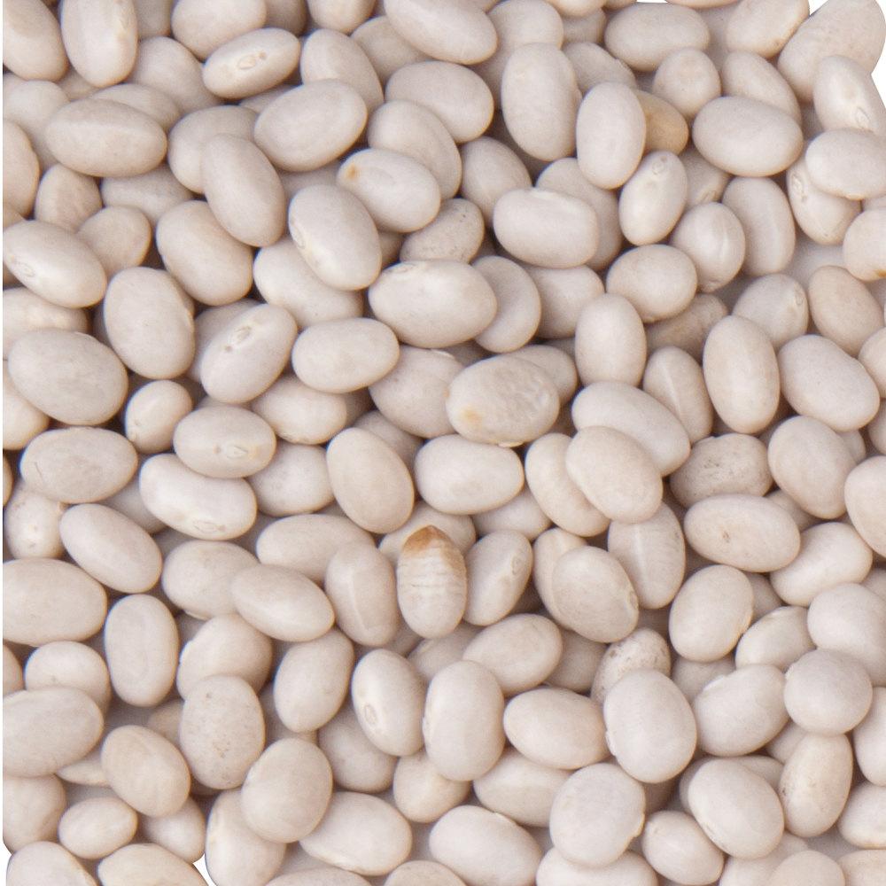 Navy Bean (Bush) by MIgardener