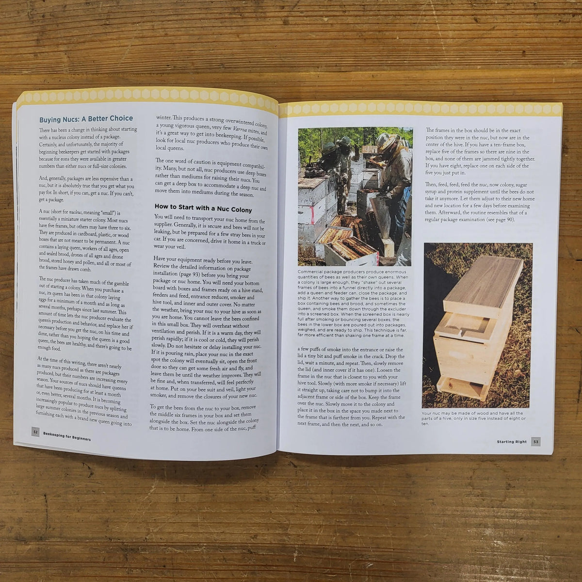 Beekeeping for Beginners Book