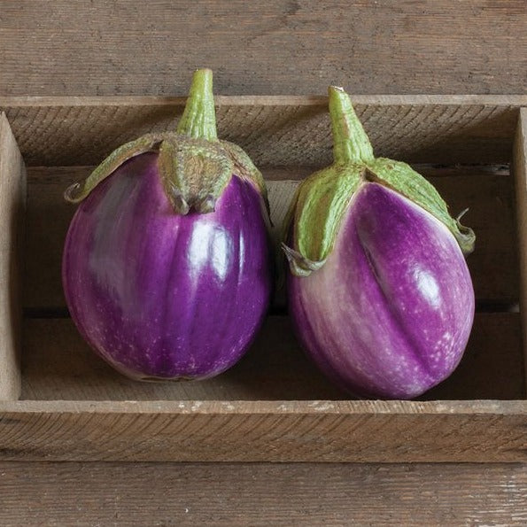 Rosa Bianca Eggplant by MIgardener
