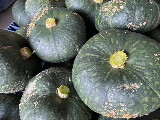KABOCHA Squash | Suzuki Farm | 1 pc, image 2 of 4
