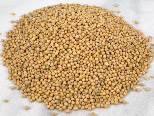 Yellow Mustard Seed, Whole, image 2 of 3