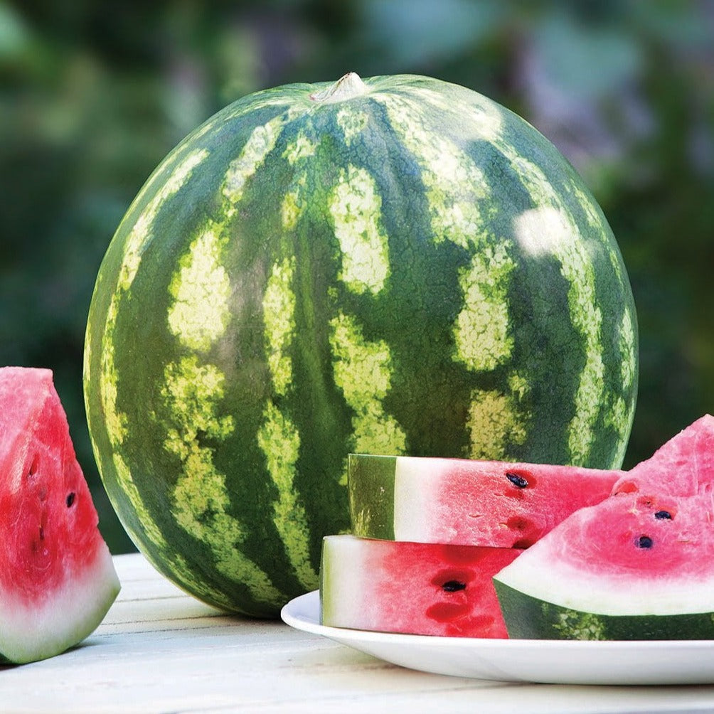 Crimson Sweet Watermelon by MIgardener
