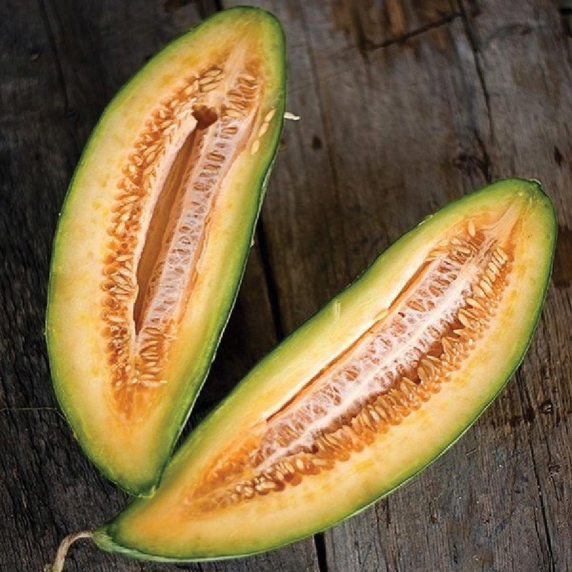 Banana Melon by MIgardener