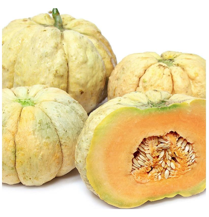Prescott Fond Blanc Melon by MIgardener
