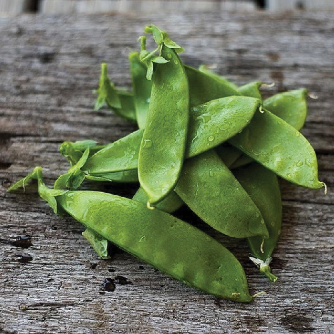 Oregon Giant Pea by MIgardener