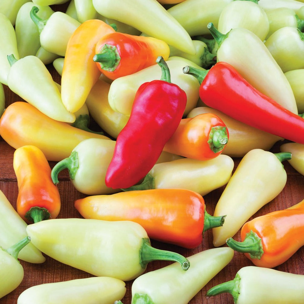 Santa Fe Grande Pepper by MIgardener