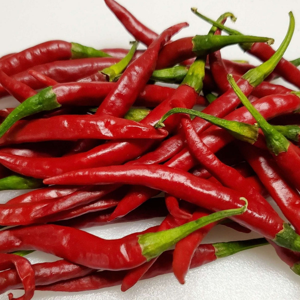 Chile De Arbol Pepper by MIgardener