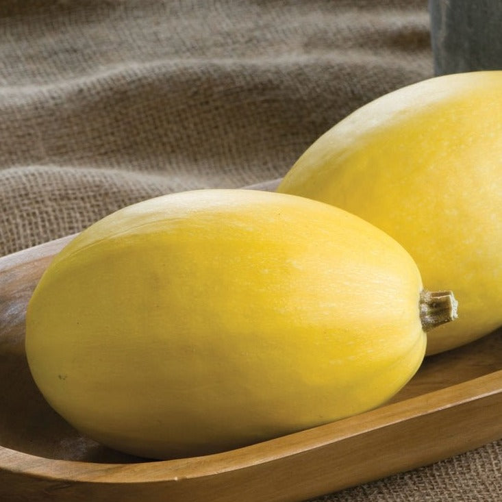 Vegetable Spaghetti Squash by MIgardener