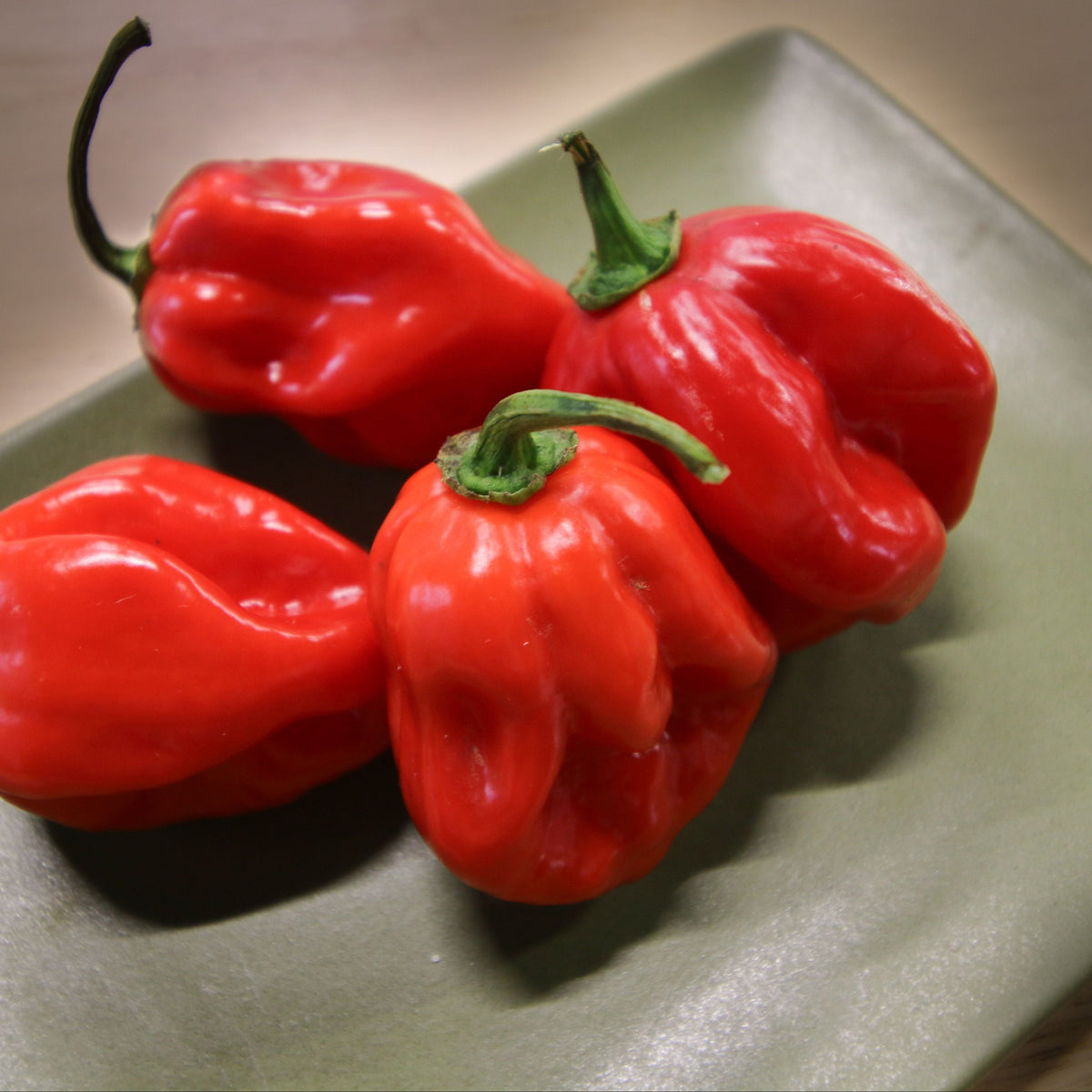 Caribbean Red Habanero Pepper by MIgardener