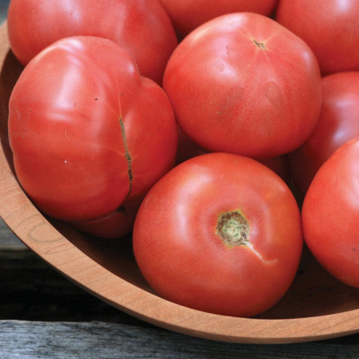 Arkansas Traveler Tomato by MIgardener