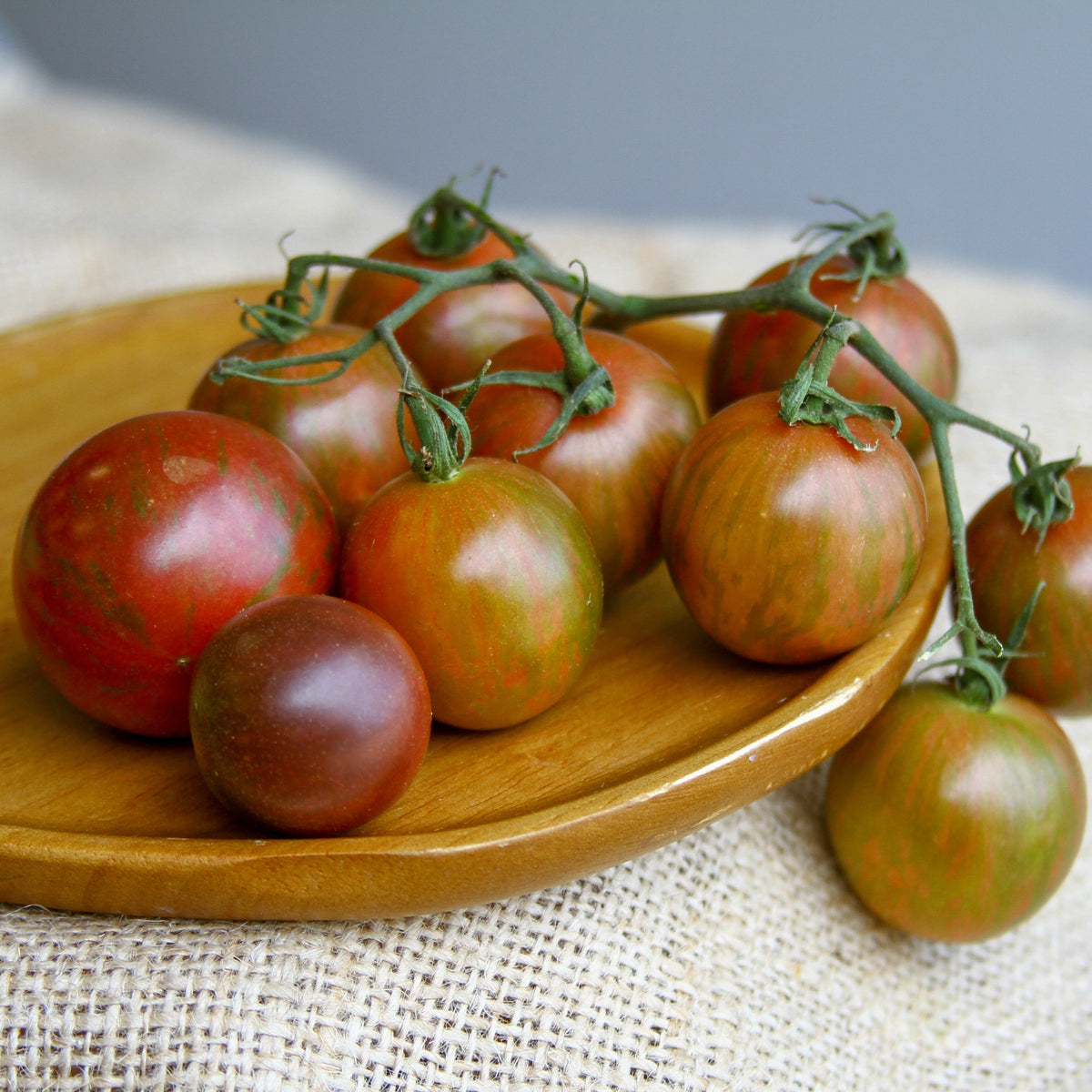 Purple Bumble Bee Tomato by MIgardener