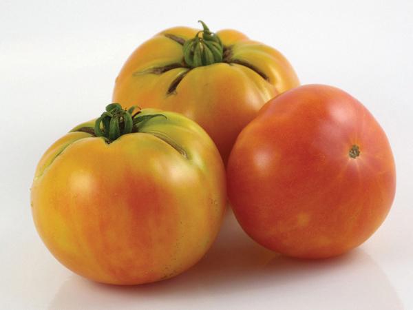 Wherokowhai Tomato (Dwarf Bush) by MIgardener