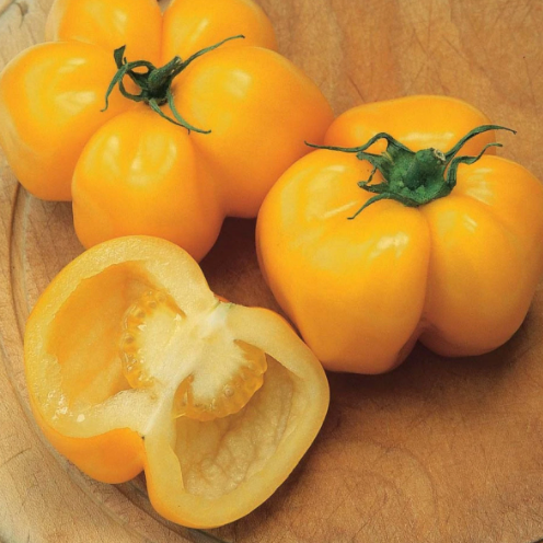 Yellow Stuffer Tomato by MIgardener