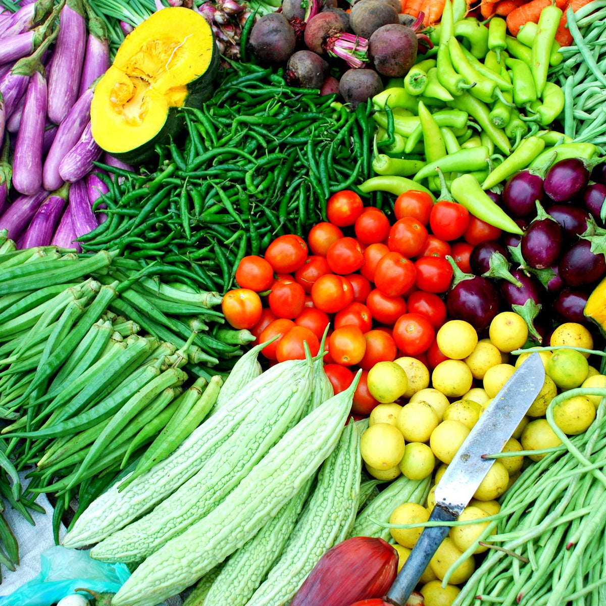 Grow Your Own Asian Culinary Vegetable Kit by MIgardener