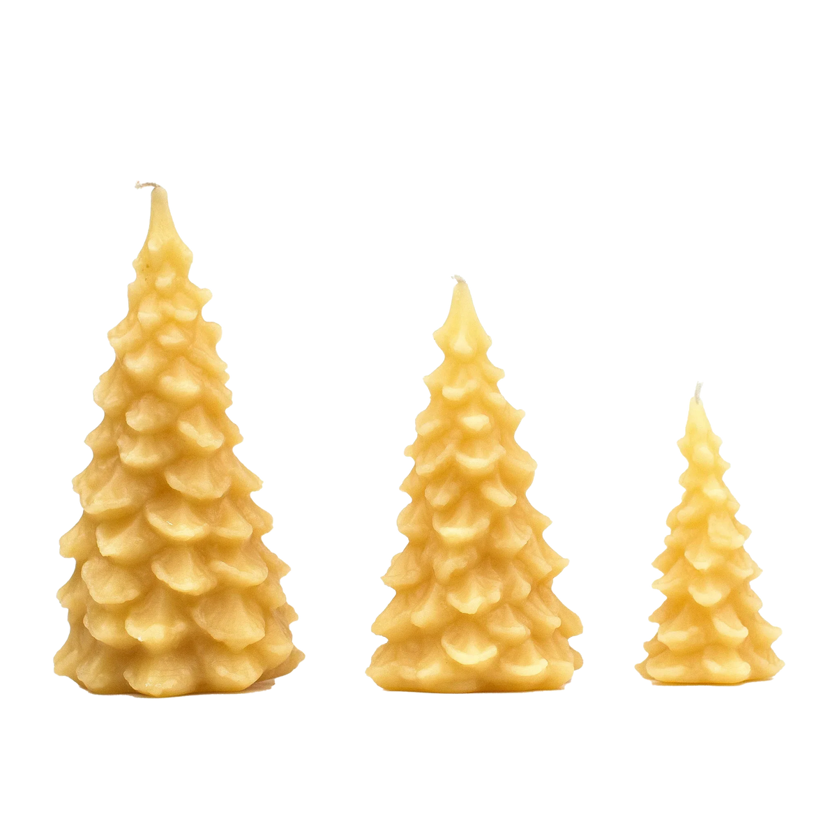 Beeswax Christmas Tree Candle by Register Family Farm