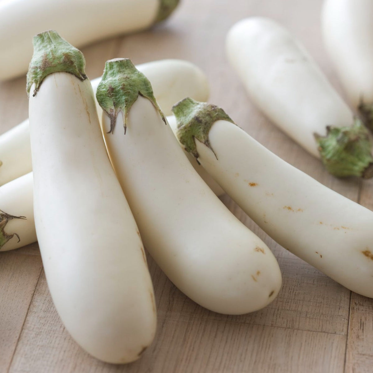 Casper Eggplant by MIgardener