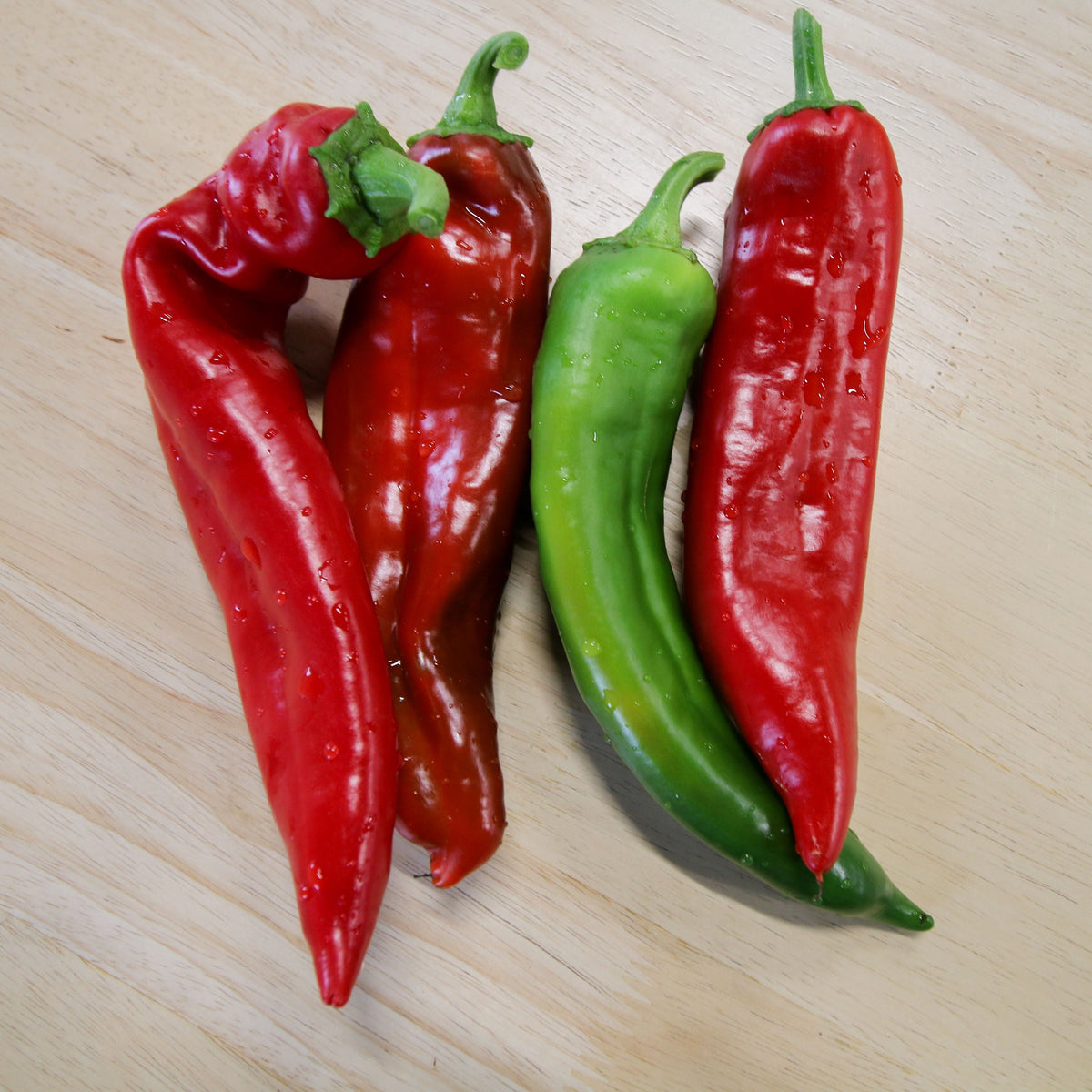 Numex Joe Parker Pepper by MIgardener