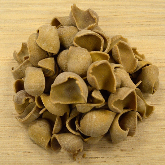 Fresh Mushroom Orecchiette Pasta, image 2 of 3