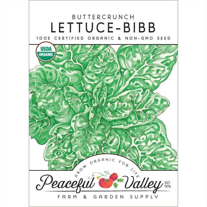 Buttercrunch Lettuce Seeds (Organic) by Grow Organic