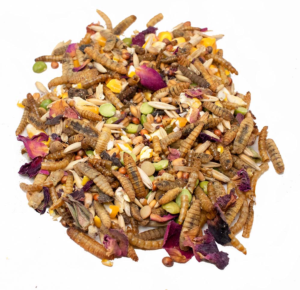 Rainbow Burst Textured Treat To Encourage Natural Behaviors from Dahlia Pets