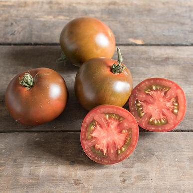 Black Prince Tomato by MIgardener