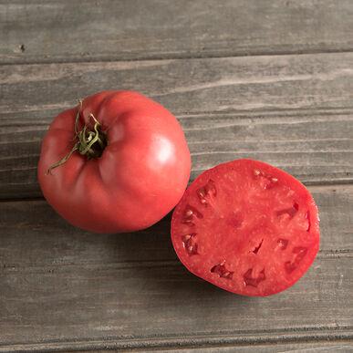 Rose Tomato by MIgardener