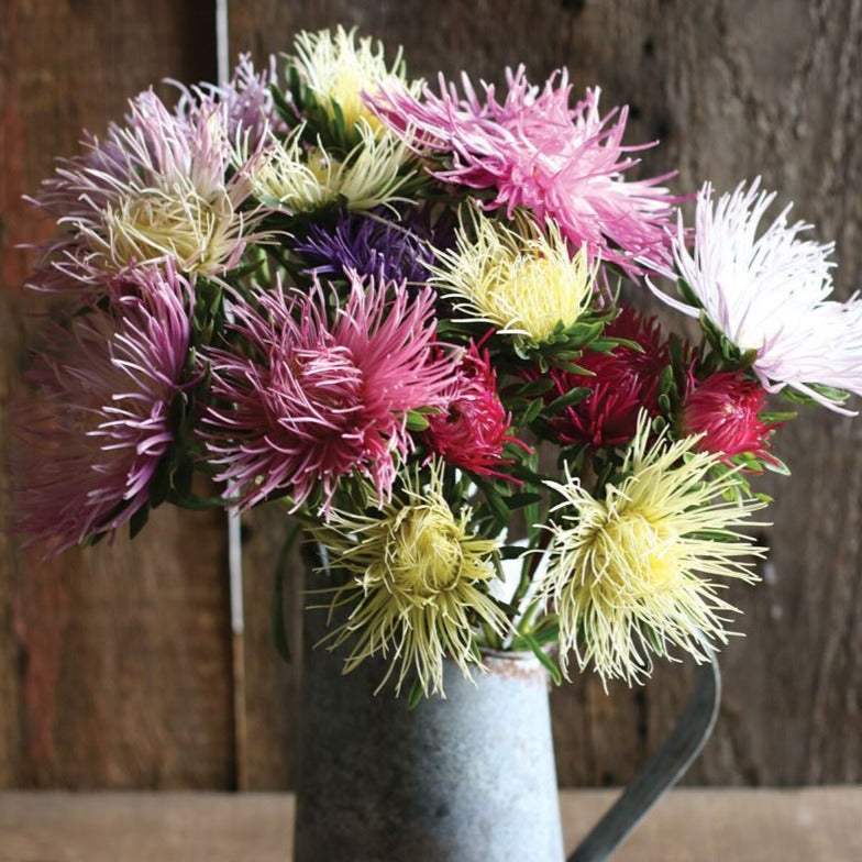 Valkyrie Brunhilde Chamois Mix by MIgardener