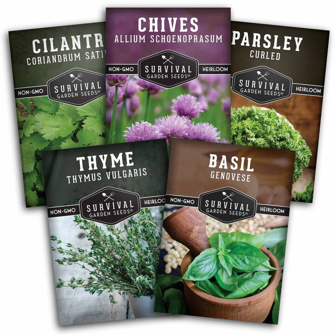 Heirloom culinary herb seeds at Madeline's