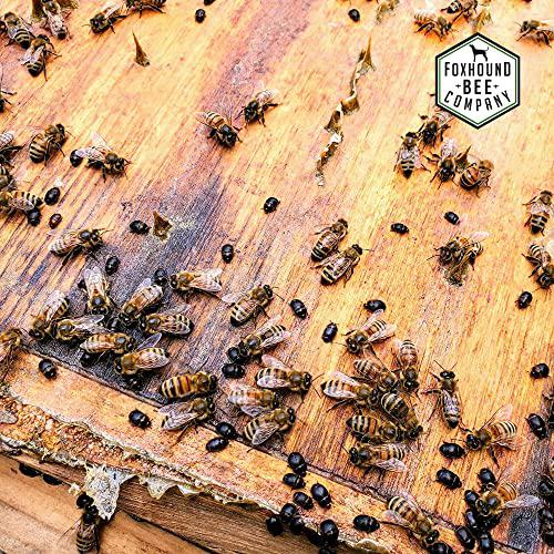 Beekeeping