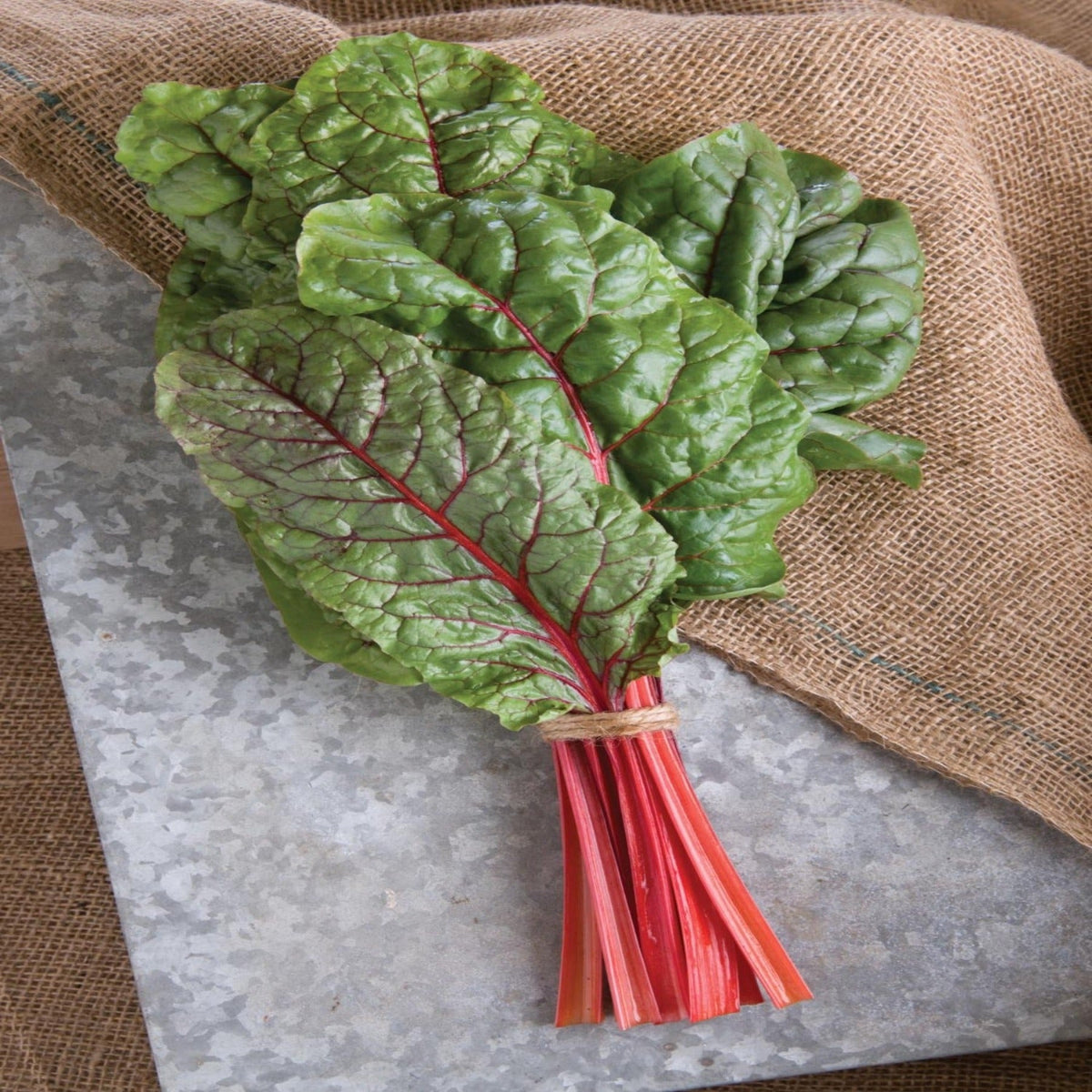 Rhubarb/Ruby Swiss Chard Seeds by Papaws Garden Supply