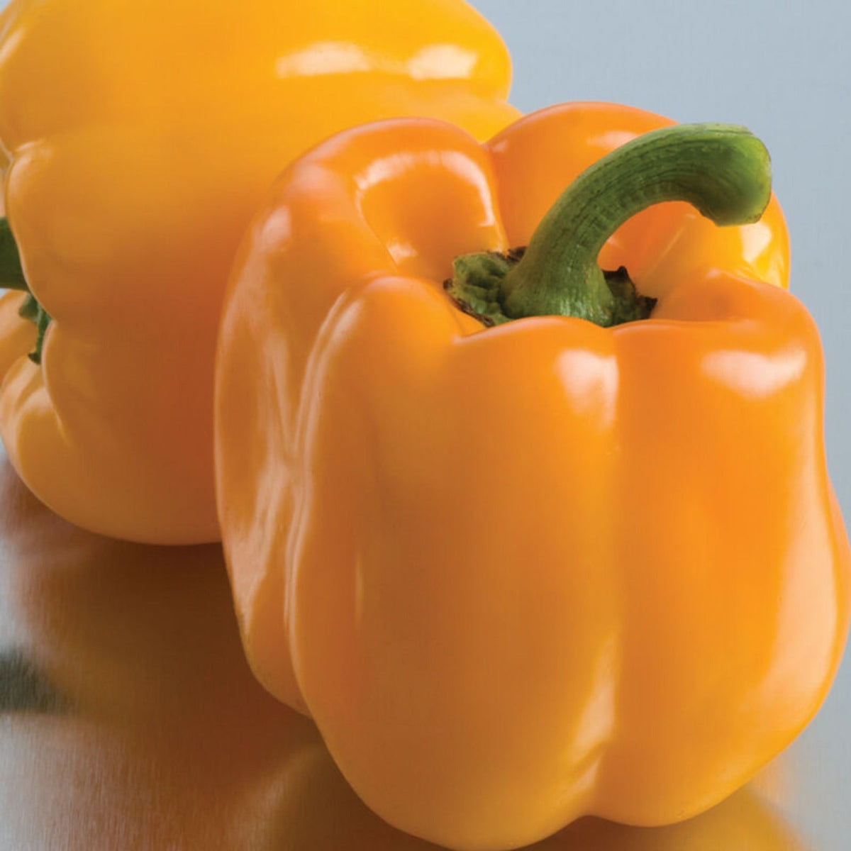 Sweet Sunrise Hybrid Yellow-Orange Bell Pepper Seeds by Papaws Garden Supply