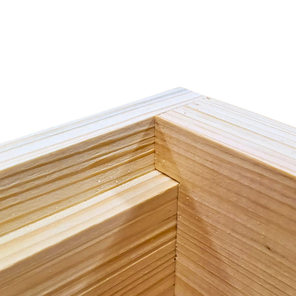 10-Frame All-Medium Box Hive Kit
