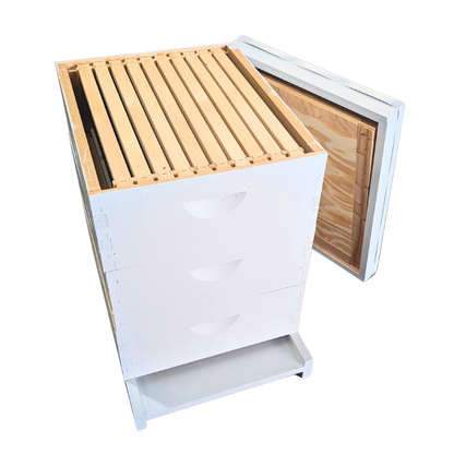 10-Frame All-Medium Box Hive Kit