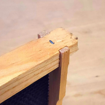 10-Frame Complete, Deep 9 5/8-inch Box with Frames and Foundation