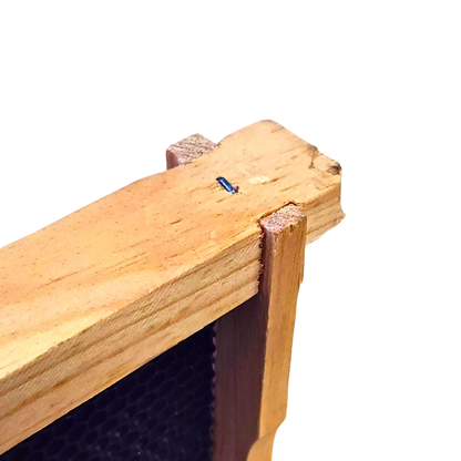 10-Frame Double Deep Box Hive Kit