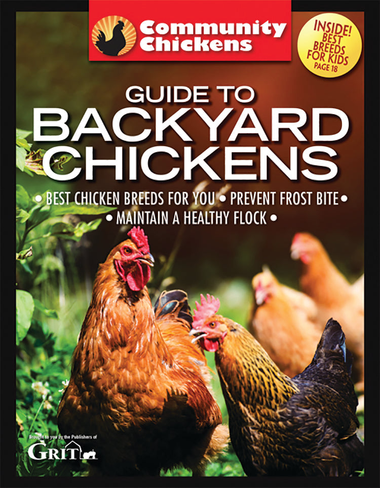 Community Chickens Guide To Backyard Chickens Set, Magazines from Mother Earth News