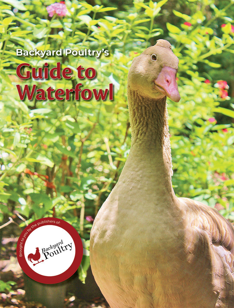 Backyard Poultry's Guide to Waterfowl, Books from Mother Earth News