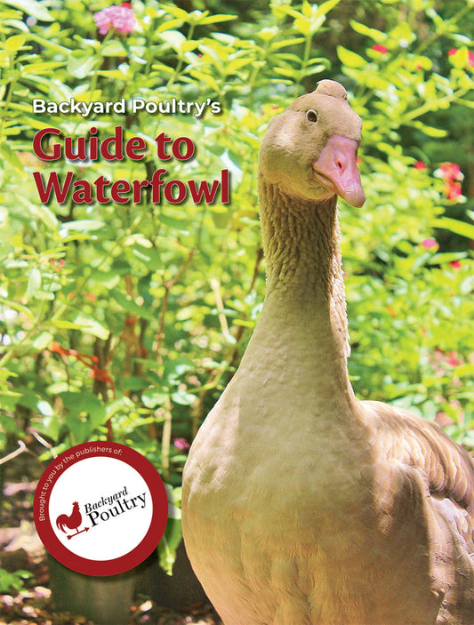 Backyard Poultry's Guide to Waterfowl, Books from Mother Earth News