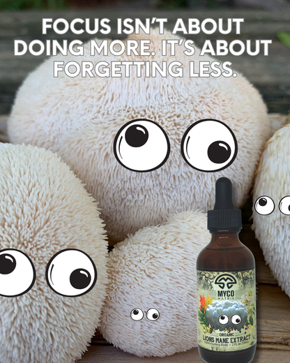 Mycomatrix Lion's Mane Adaptogenic Mushroom Extract