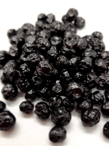 NEW Dark Chocolate Alegria Bites w/ Blueberries + Cacao Nibs