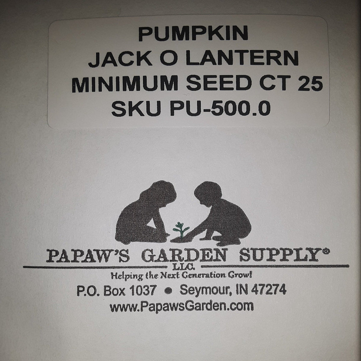 Jack O' Lantern Heirloom Pumpkin Seeds, image 3 of 5