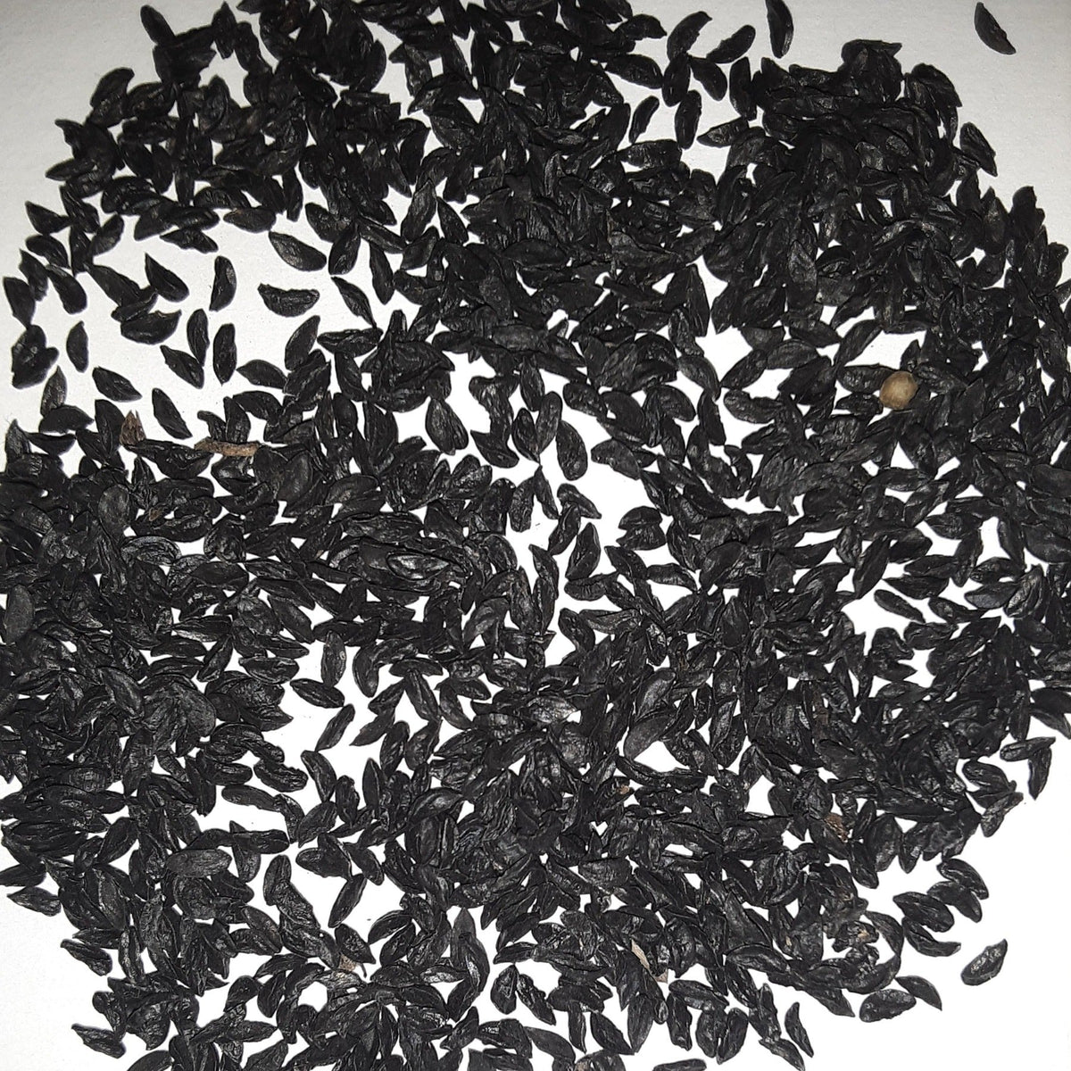 Herb, Chive Seeds, image 2 of 5