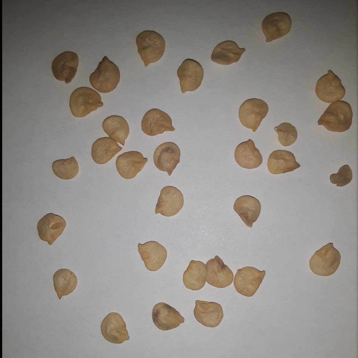 Hatch Cert. Ms. Junie Chile Hot Pepper Seeds, image 2 of 6