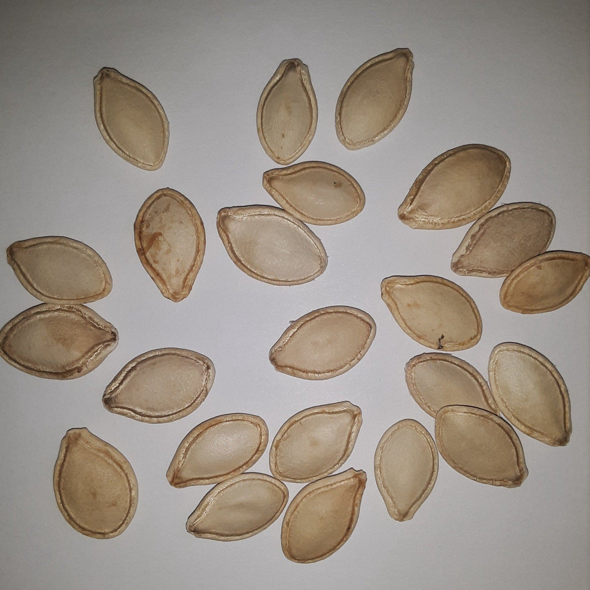 Spaghetti Winter Squash Seeds, image 2 of 5