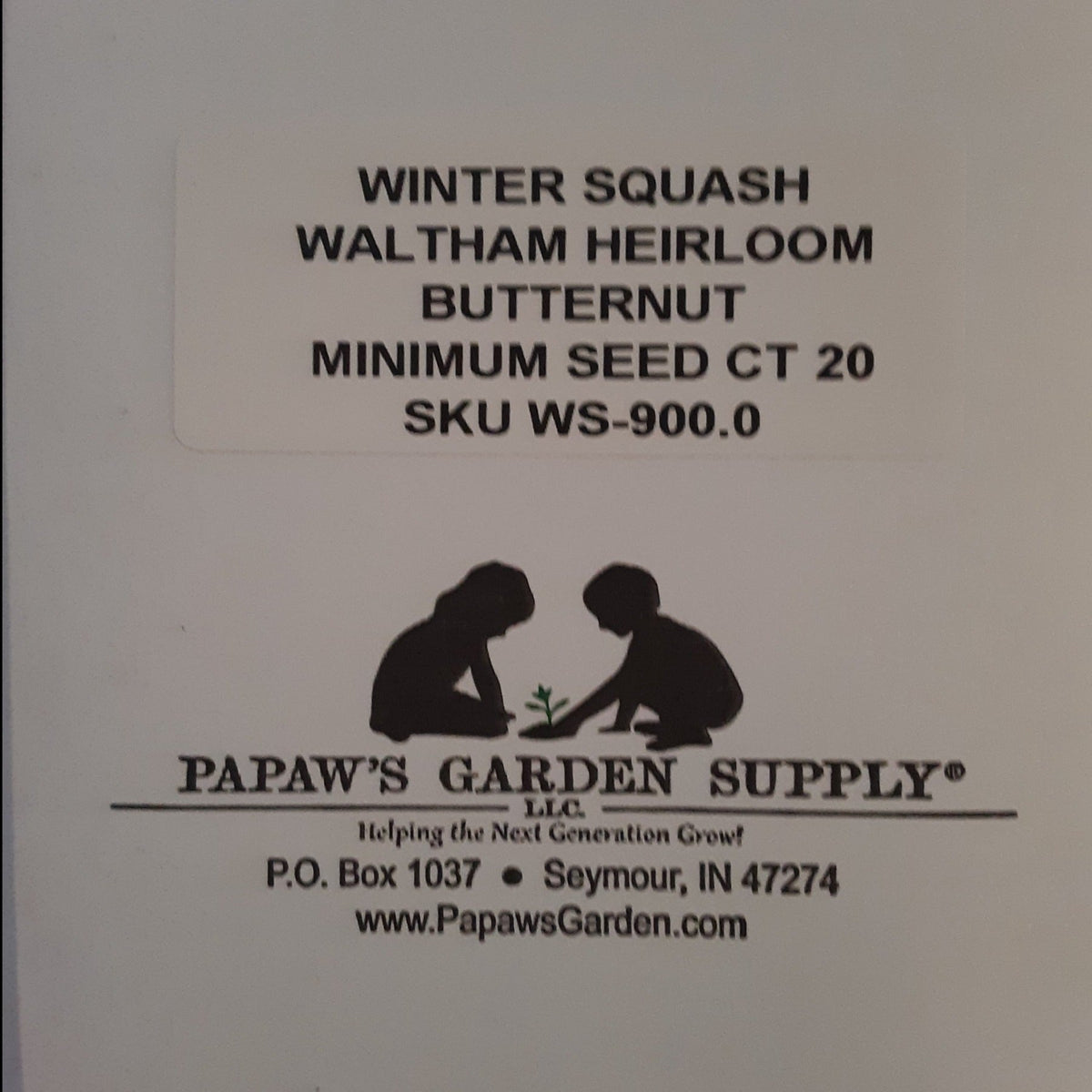 Waltham Heirloom Butternut Winter Squash Seeds, image 3 of 5