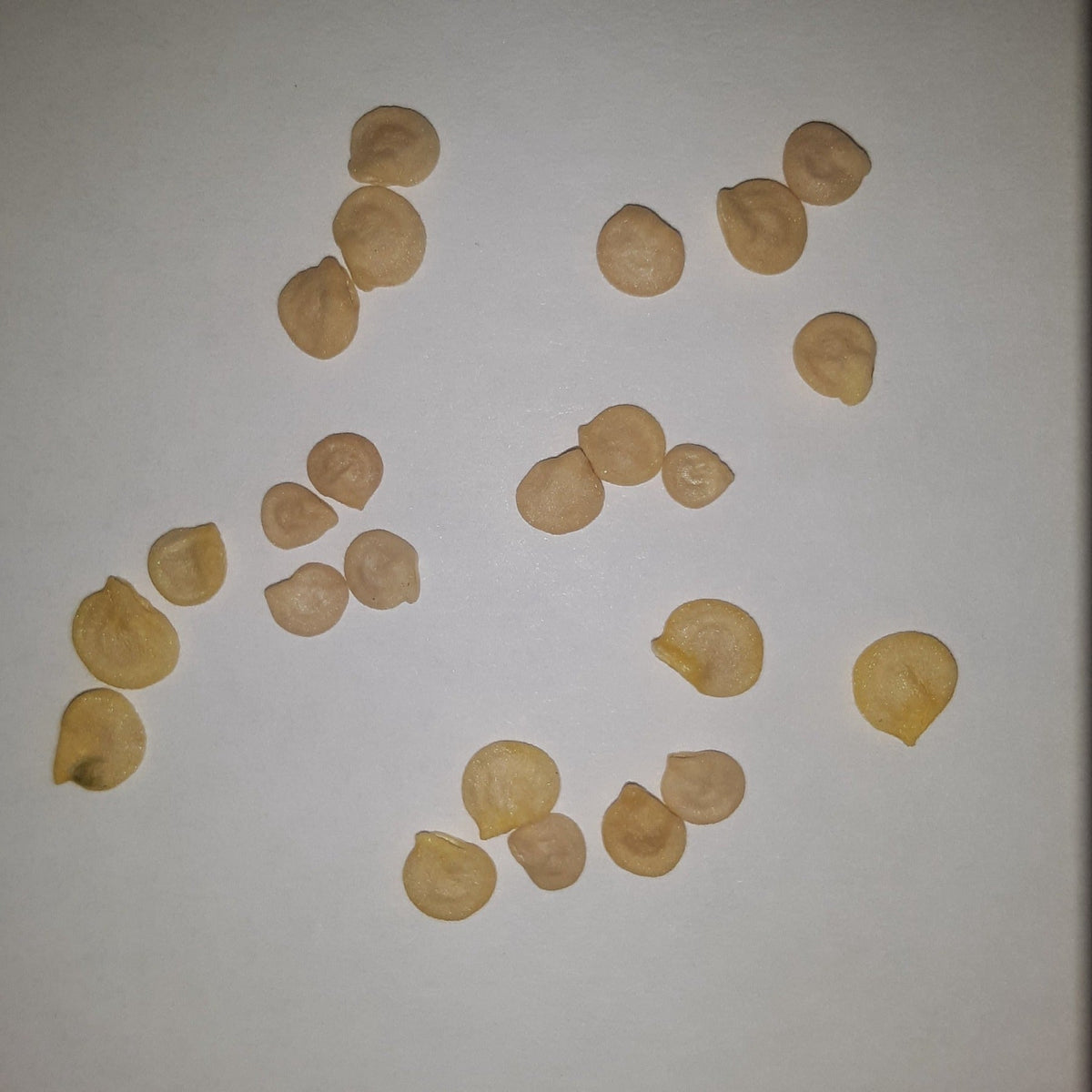 Sweet Snacking Mix Pepper Seeds, image 2 of 5