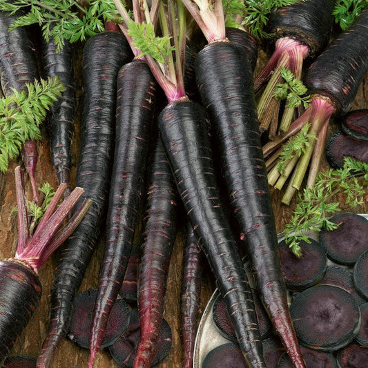 Black Nebula Carrot Seeds (Organic), Garden from Grow Organic