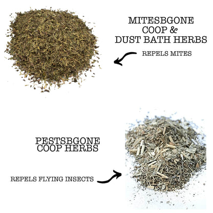 MitesBGone & PestsBGone Coop Herbs Bundle - 2 Blends In Bundle To Repel Pests from Dahlia Pets